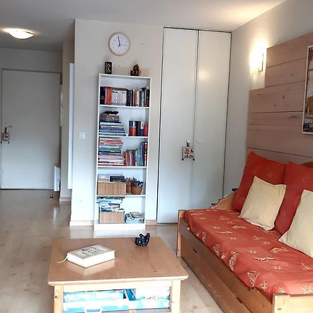 Le 102, T3 Pour 5 Personnes, Vue Montagne, Classe 2 Etoiles Nf, Parking, Piscine En Ete Bagnères-de-Luchon 외부 사진