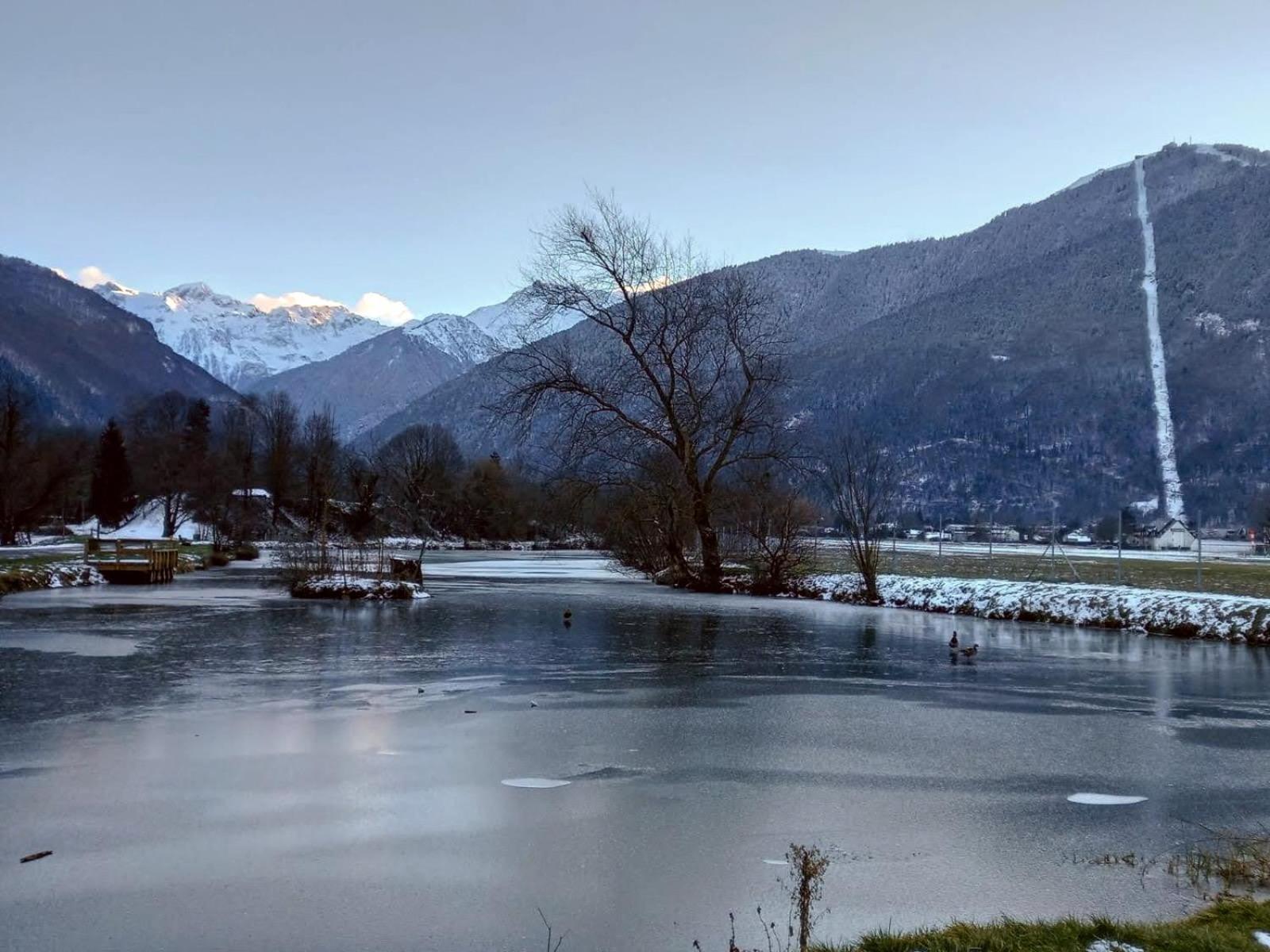 Le 102, T3 Pour 5 Personnes, Vue Montagne, Classe 2 Etoiles Nf, Parking, Piscine En Ete Bagnères-de-Luchon 외부 사진